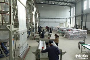 索鴻賓 著力加快蔬菜產業綠色安全健康發展