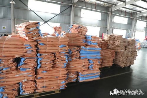 賣全球 看臨港小袋子如何撬動7000萬